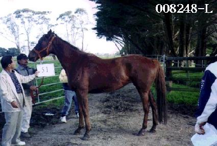 ���� ����