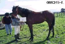 ��Ǻ� (UNAKPONG) ����