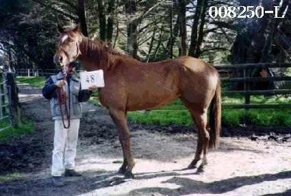 �ܵ��� ����