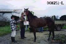 �������� (SAMPOYEOJE) ����