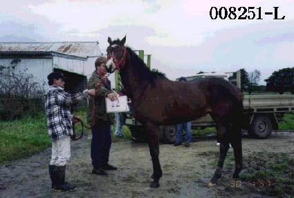 �������� ����