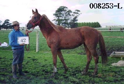 ���� ����