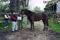 ��� (CHANGNYEOK) ����