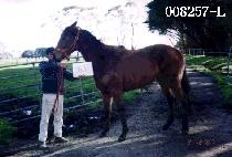 ���� (KAGONG) ����