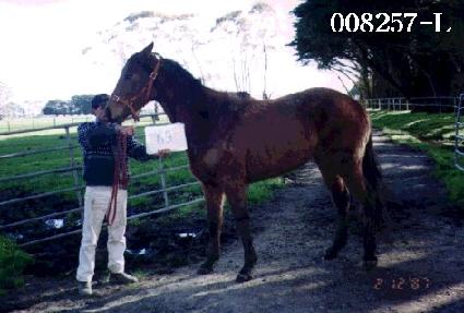 ���� ����