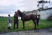 ��ȭ��� (MUNHWASARANG) ����