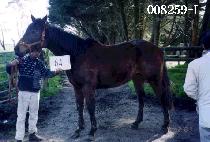 �强Ư�� (CHANGSEONGTEUKKEUP) ����