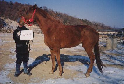 ������콺 ����