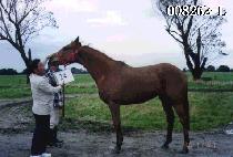 ���� (SAMBANGSAN) ����