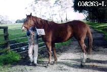 �ɼ����� (NEUNGSUBEODEUL) ����