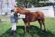 ��ǳ (UNGP��UNG) ����