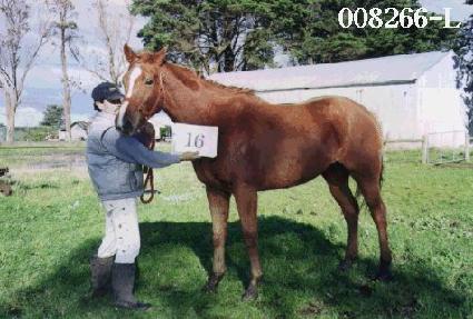 ��ǳ ����