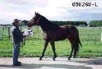 ���ٶ� (NODAEBARAM) ����