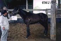 ���̽����� (NICE BOY) ����