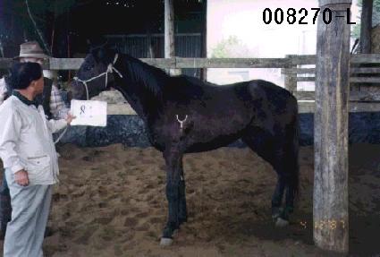 ���̽����� ����