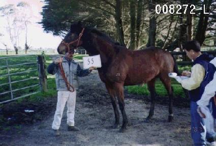 ��ũ�븶Ʈ ����