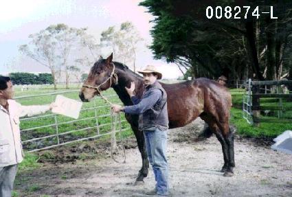 ���� ����