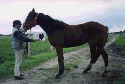 ����Ǵ� ����