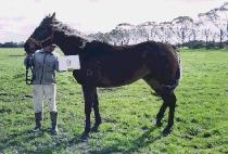 ���� (TAEHANG) ����