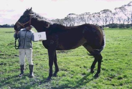 ���� ����