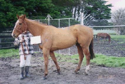 ���ٸ� ����