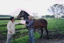 ��Ȳ���� (CHOHWANGBIJEON) ����