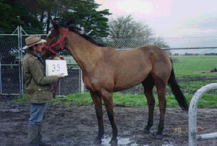 �������� ����