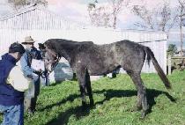 ���� (SEOUN) ����