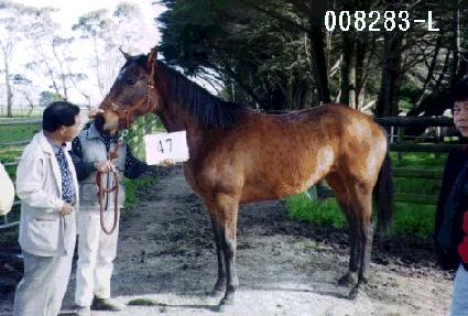 ��Ÿ���� ����