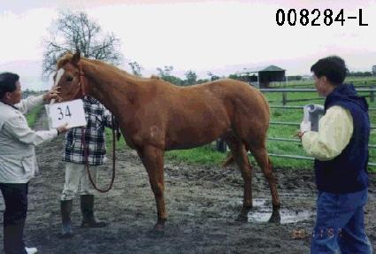 �̺��� ����