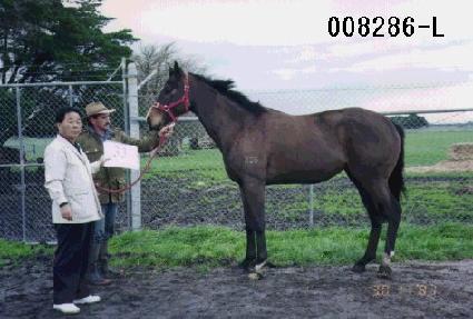 �ٶ����� ����