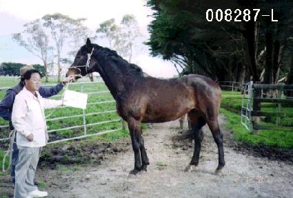 û�� ����