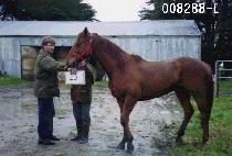 ��ɲ� (SANYANGKKUN) ����