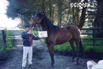 ������ (TEONANDA) ����