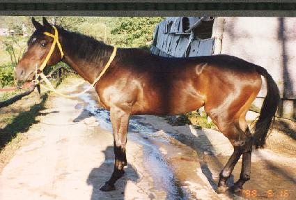 �Ҹ�õ ����