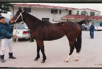 ���ذ� (NALSSAEGE) ����