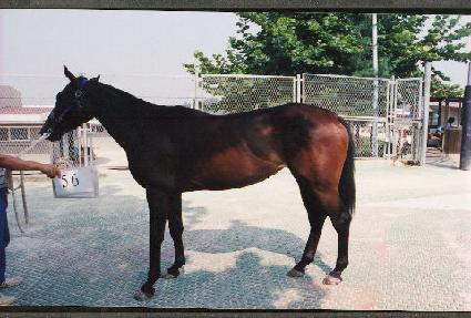 �Ǽ��� ����