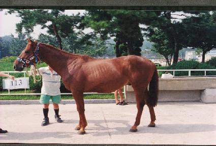 ����� ����