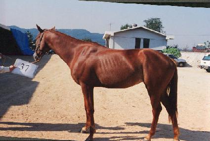 ���ۿ� ����