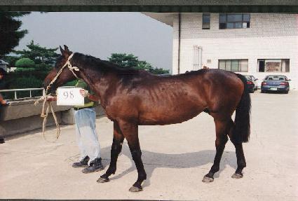 �ߴ��� ����