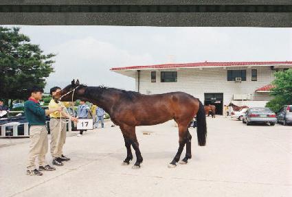 ��ü�̼� ����