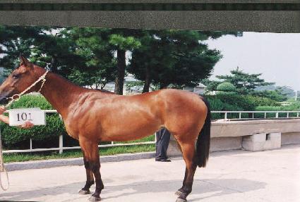 ������ ����