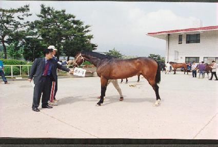 ���� ����