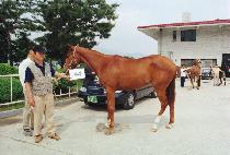 ���� (YEOGEOL) ����