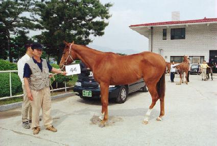 ���� ����