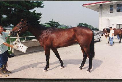 ������ ����