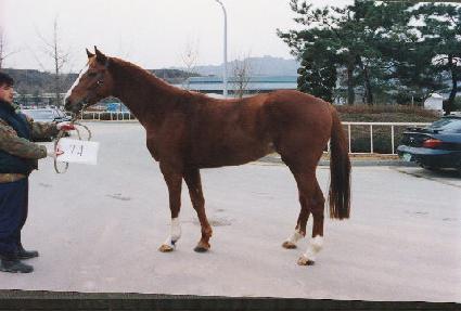 Ž��չ� ����