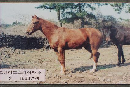 ��ǳ�� ����