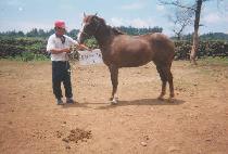 �Ѷ���� (HALLA MYEONGSAN) ����