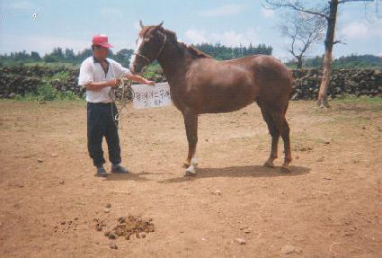 �Ѷ���� ����